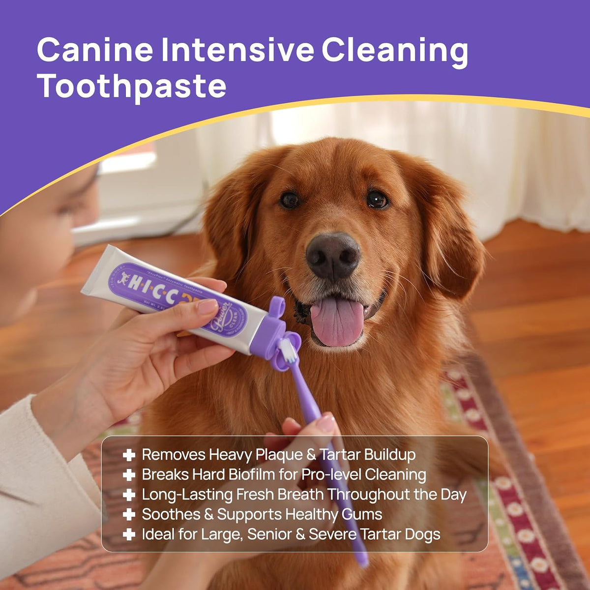 HICC PET EnzyPlex dog toothpaste tube showing beef and pumpkin flavor details