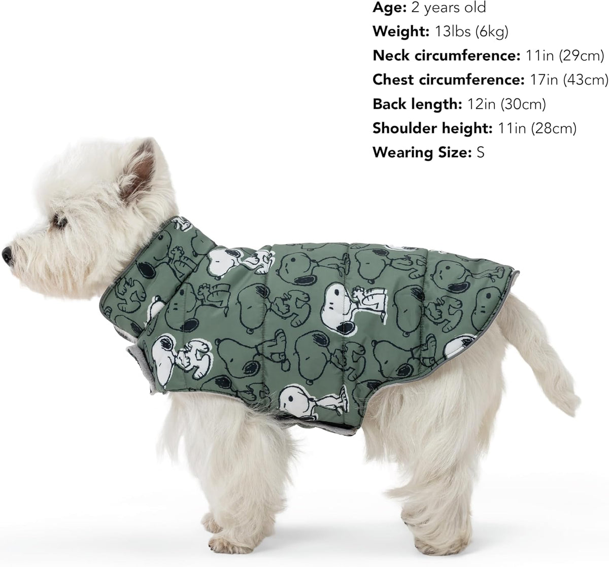 Berkshire Blanket imported Peanuts pet clothing packaging with official brand tags visible