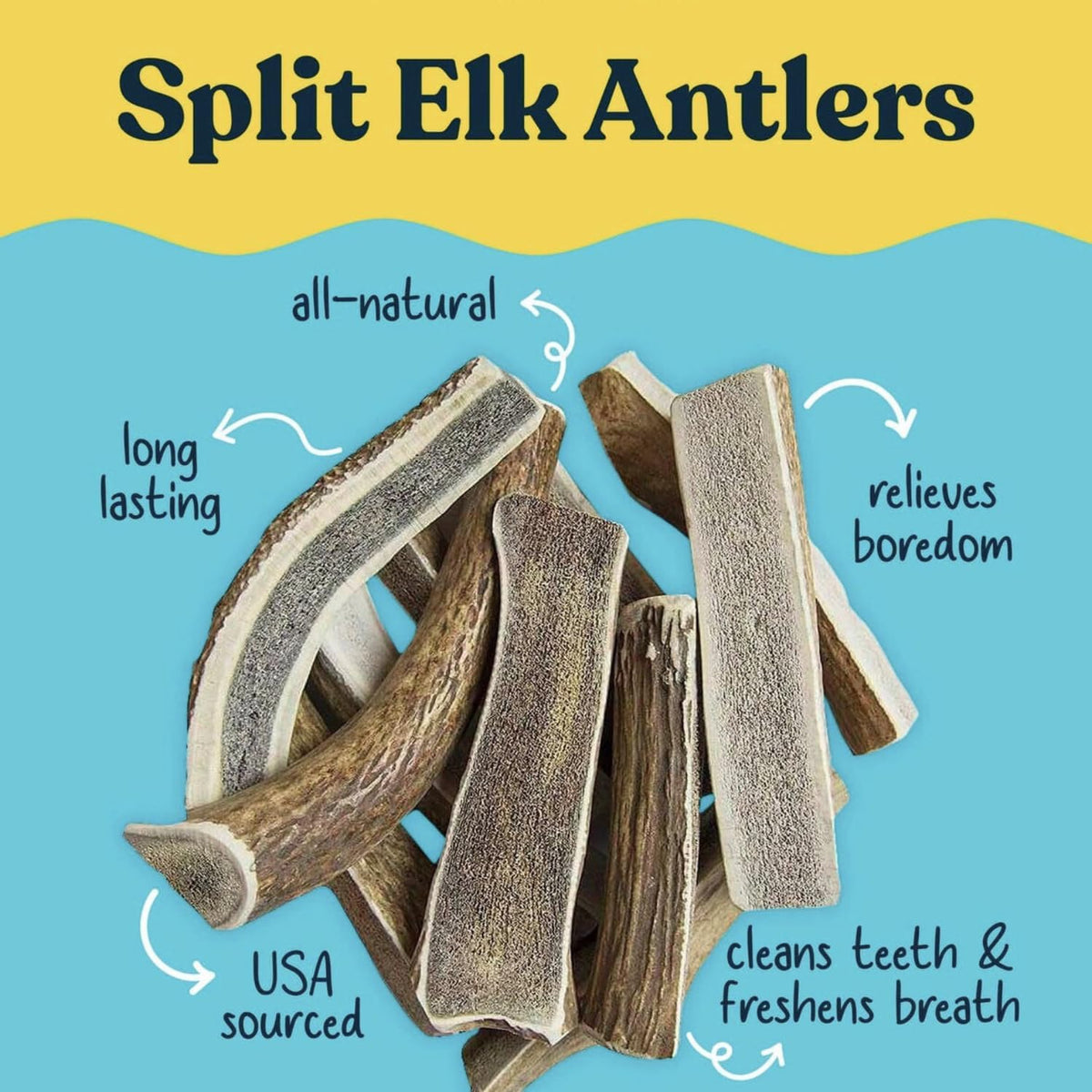 Side profile of premium USA sourced elk antler