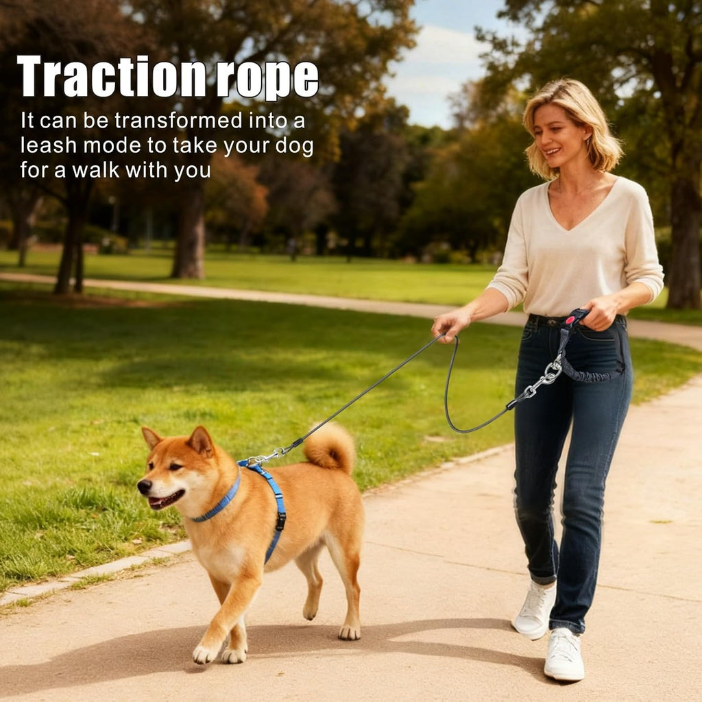 Idepet dog seat belt connected to car seat buckle