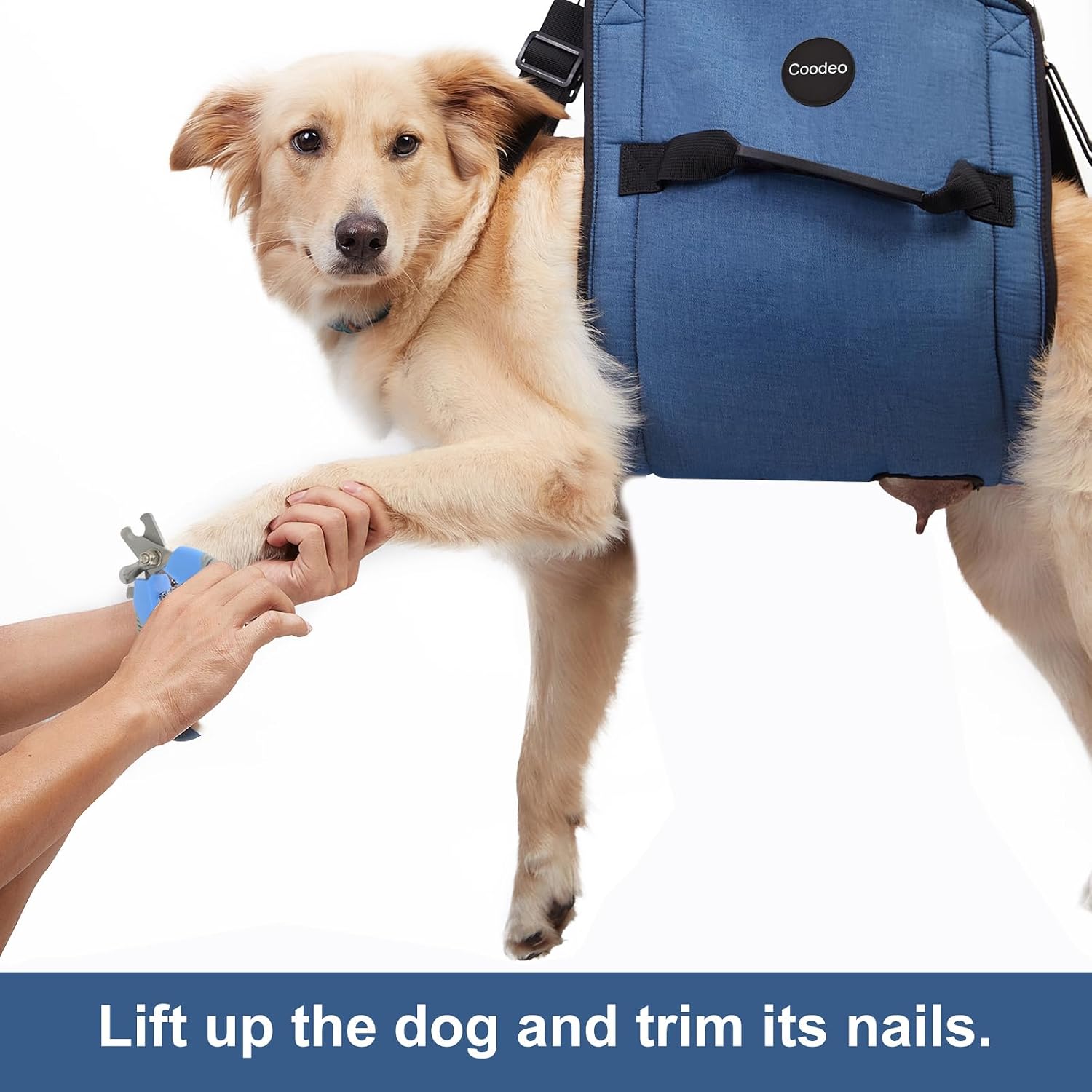 Heavy duty dog lift sling used for secure nail trimming
