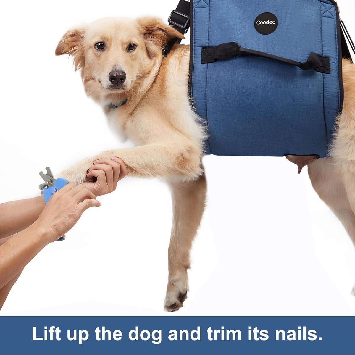 Heavy duty dog lift sling used for secure nail trimming
