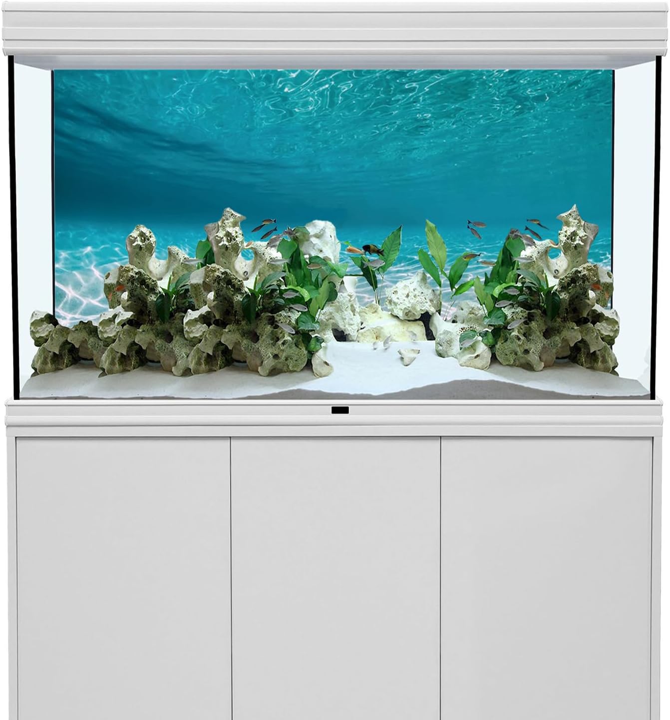 AWERT 48 by 24 inches fish tank background applied to the back of a large aquarium