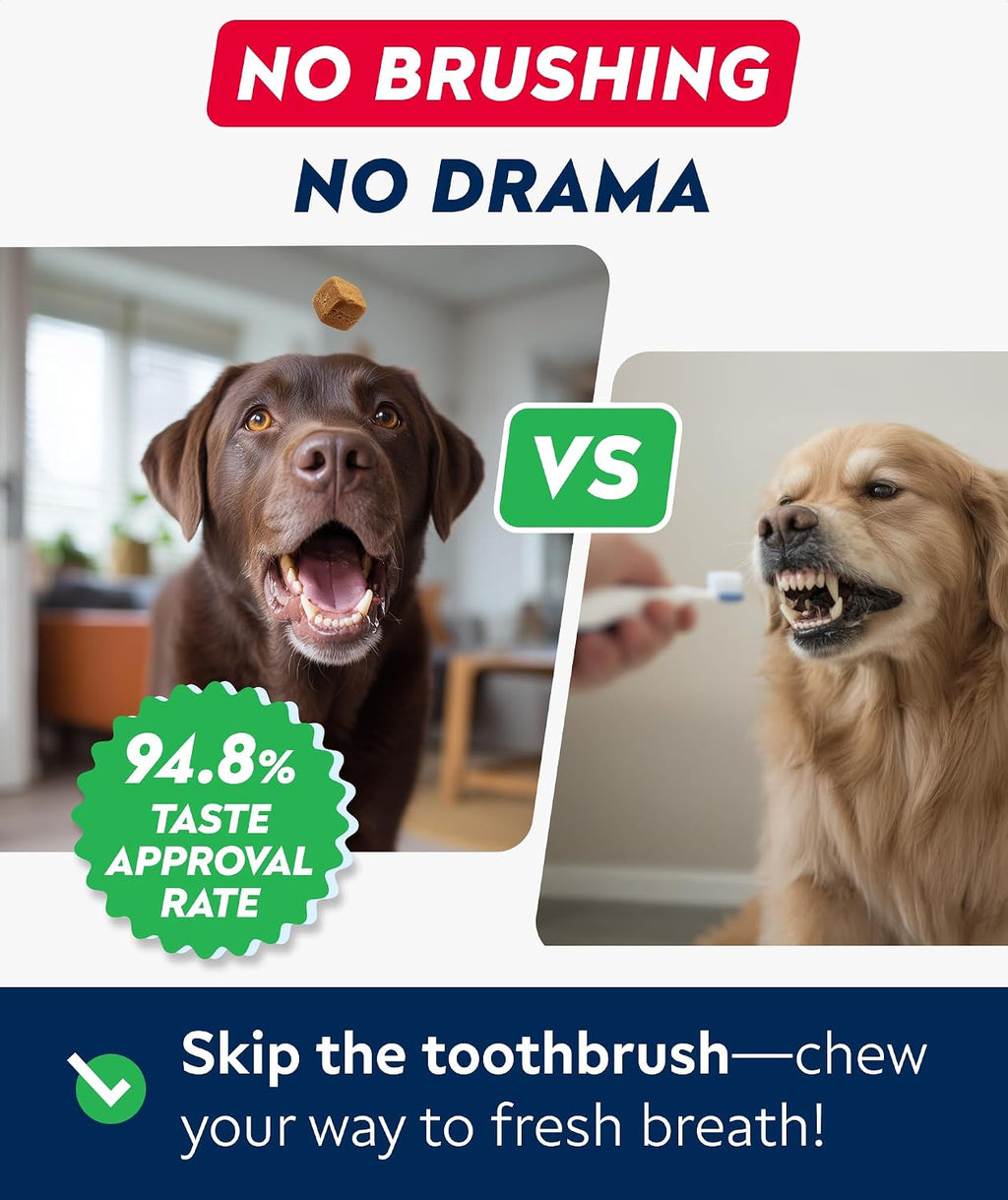 Side view of Strellalab dog dental supplement packaging