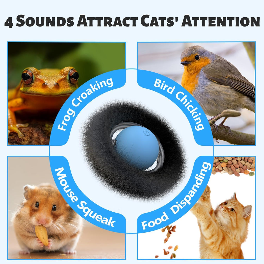 Rechargeable smart ball for cats inside 7 hole mat