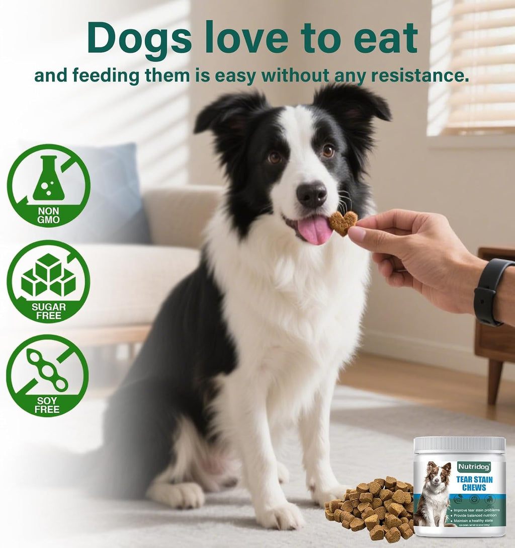 Angels Eyes natural antioxidant eye health soft chews for all dog breeds