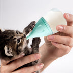 Elevonix small animal nursing feeder bottle with replaceable silicone nipples laid out on a clean surface.
