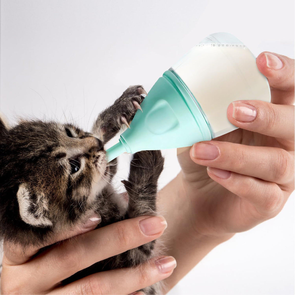 Elevonix small animal nursing feeder bottle with replaceable silicone nipples laid out on a clean surface.