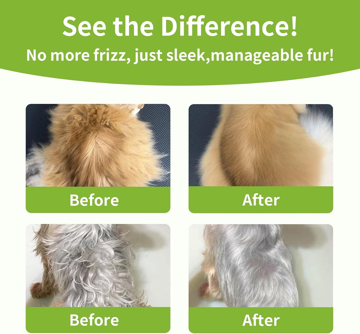 Sensitive skin dog getting massaged with fragrance free pet grooming coat oil
