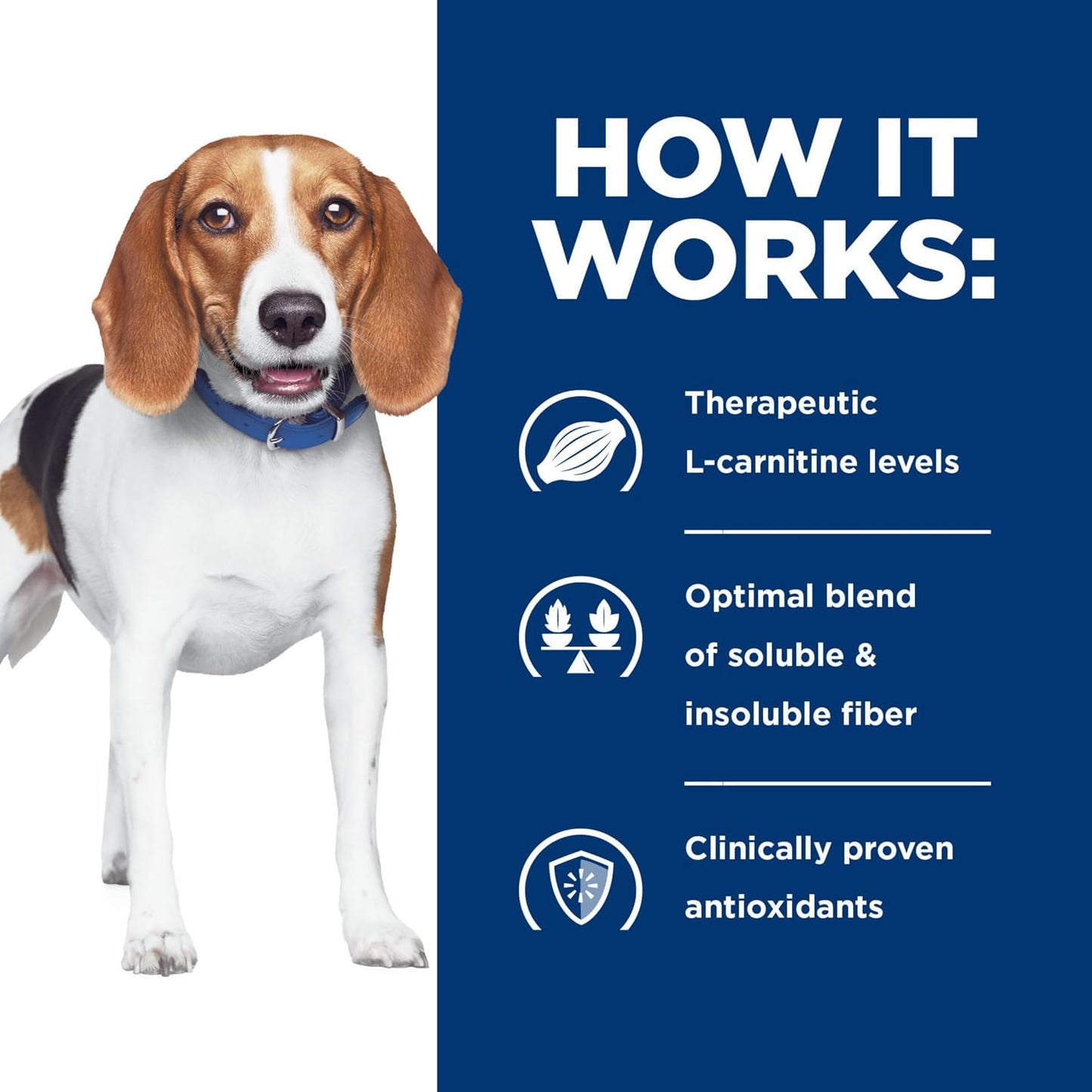 Premium veterinary dog food for effective healthy pet weight reduction