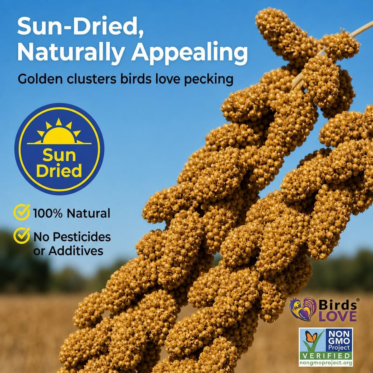 Natural foraging treat packaging details for small parrots