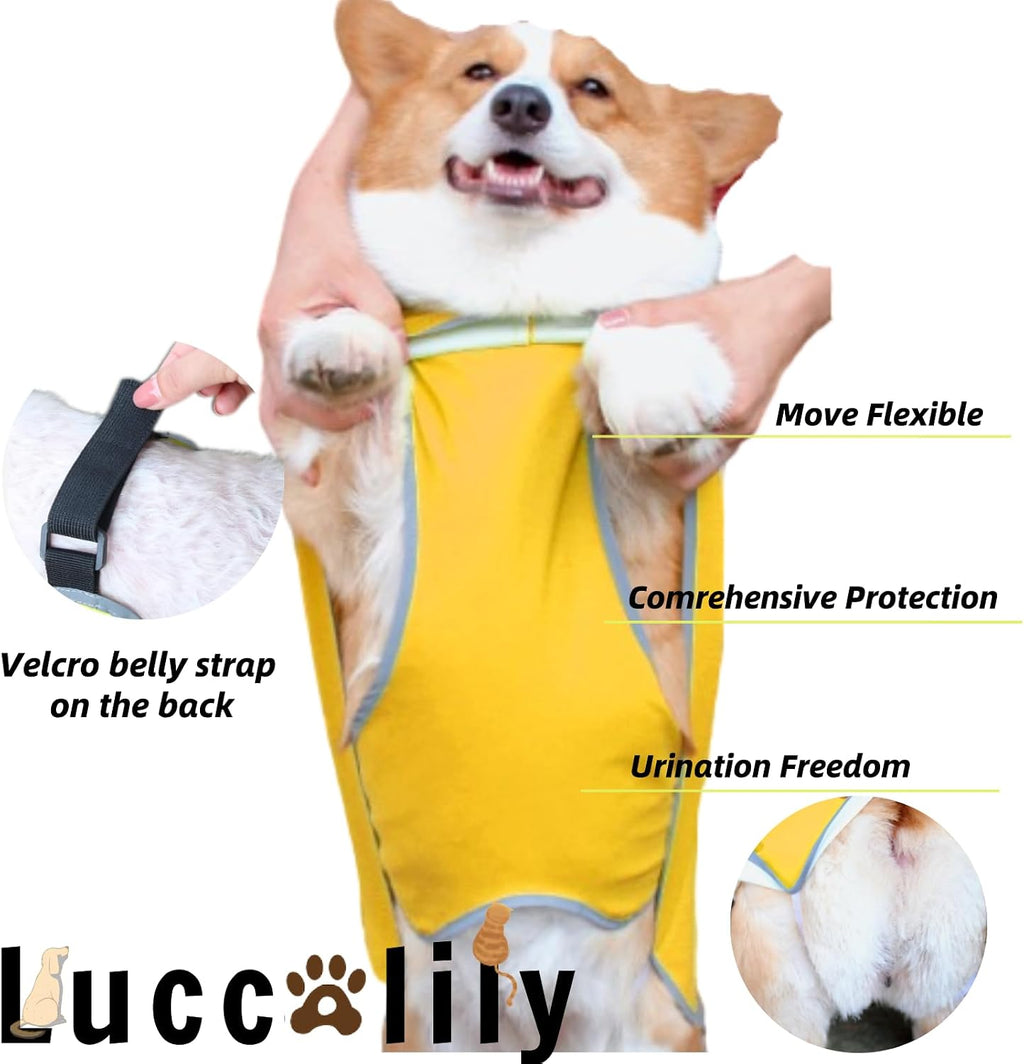Yellow lightweight dog raincoat with built in harness leash hole slot