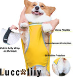 Yellow lightweight dog raincoat with built in harness leash hole slot