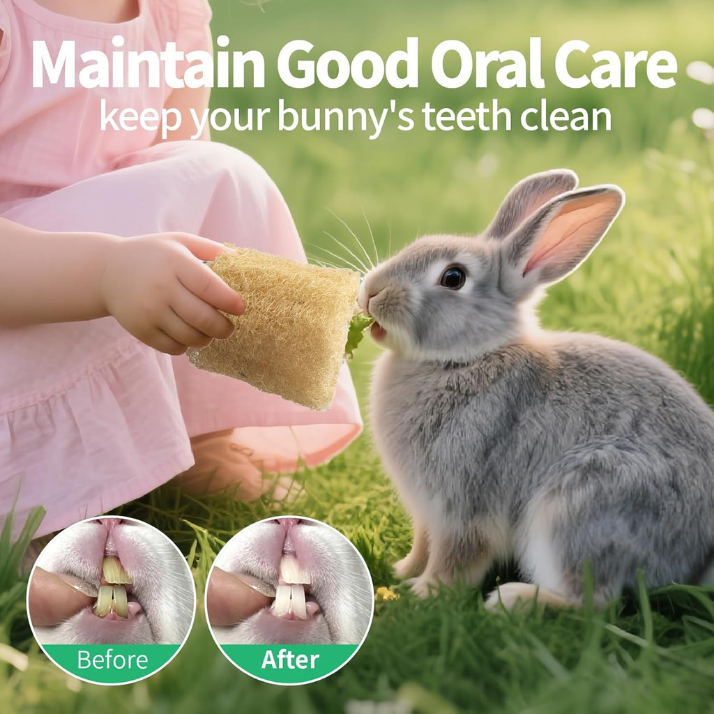 Biodegradable small pet chew toy being used as a fur grooming brush