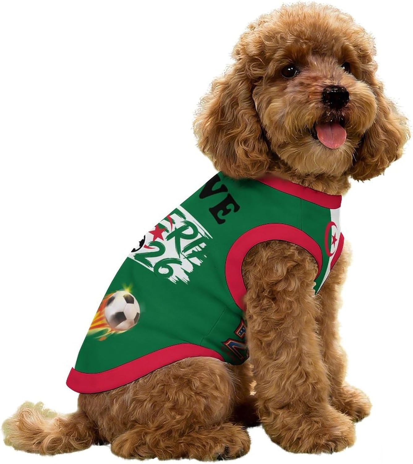HMGFMGSLMG Mexico pet soccer shirt folded display