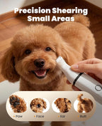 Oneisall pet grooming kit accessories including guide combs scissors and cleaning brush