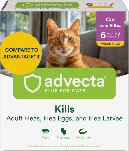 Advecta Plus Topical Large Cat Flea Treatment for Cats and Kittens, Flea Prevention and Control, Fast-Acting Waterproof Drops, 4-Month Supply - Image 12