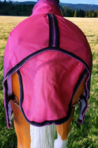 Challenger miniature horse protective summer sheet with adjustable leg straps