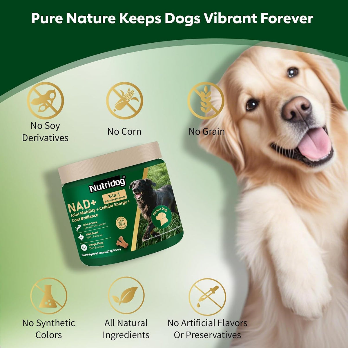 Nutridog anti aging supplement for dogs showing clear label details of imported authentic USA canine wellness product