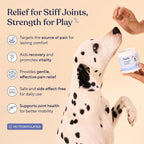 Pawfy dog pain relief bacon flavored chews showing label directions and key benefits.