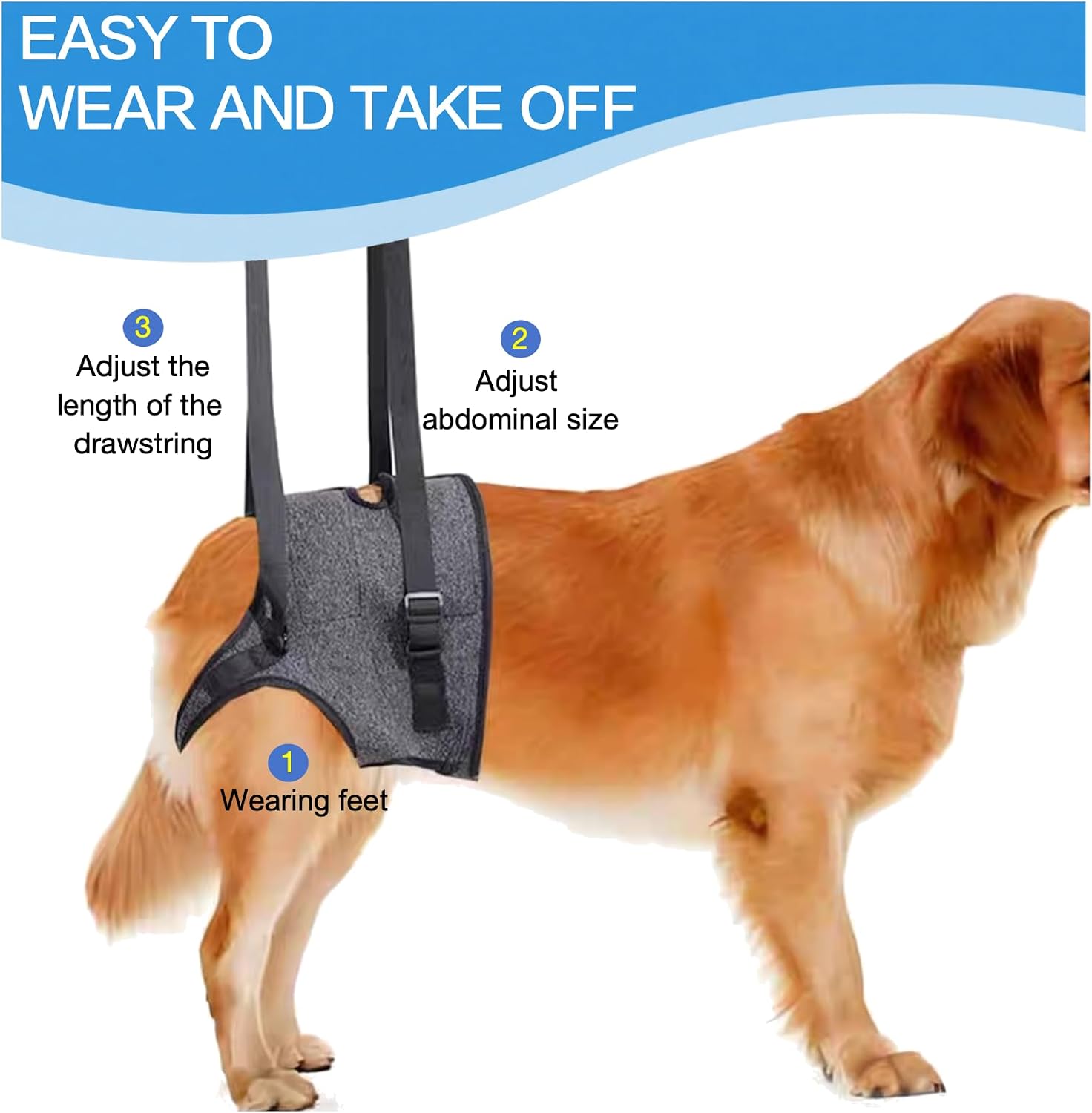 Adjustable waist loops of the Bardimies canine support sling