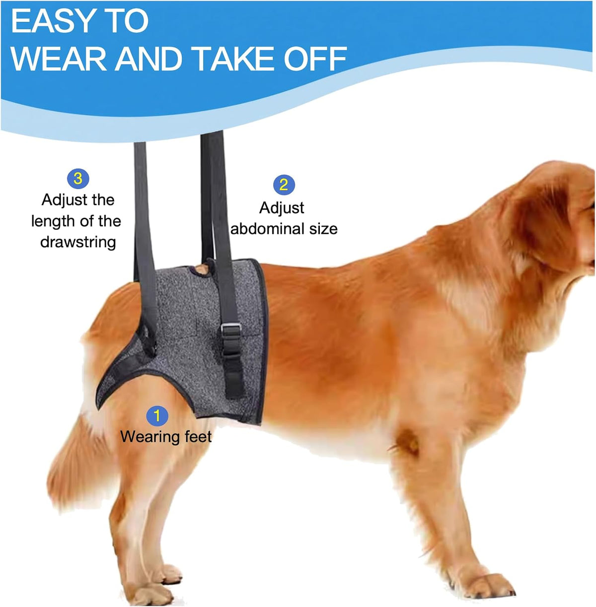 Adjustable waist loops of the Bardimies canine support sling