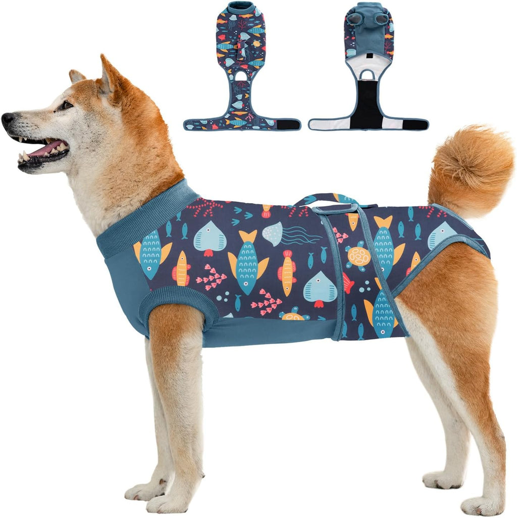 Packaging details of the imported Aimydog premium pet supplies highlighting the machine-washable and reusable fabric.