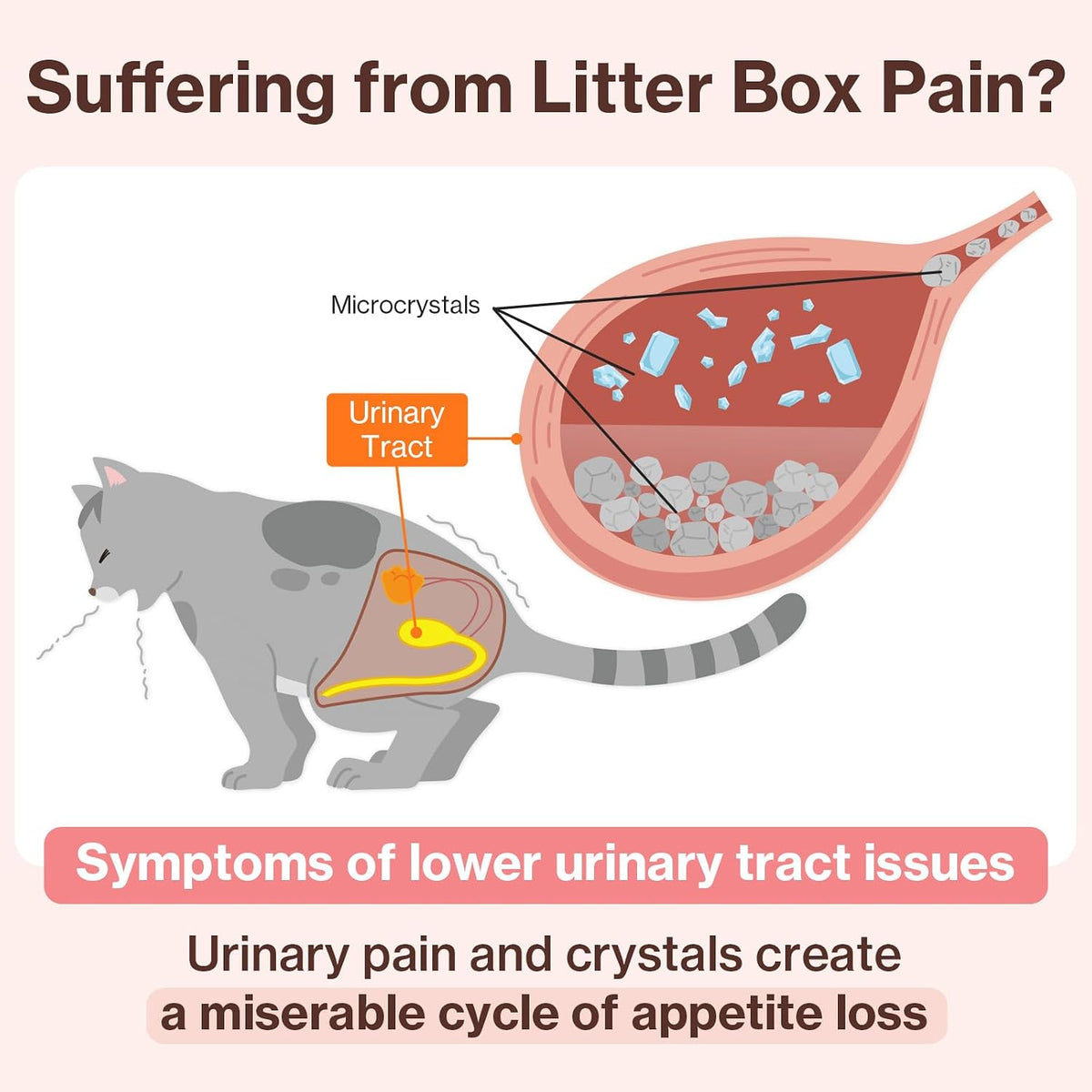Individual packaging of Doctor By UT Care urinary supplement for cats