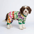 Fitwarm small breed puppy pajamas featuring broccoli and tomato graphics.