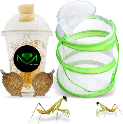 USMANTIS praying mantis egg cases kit front view showing mesh habitat and ootheca
