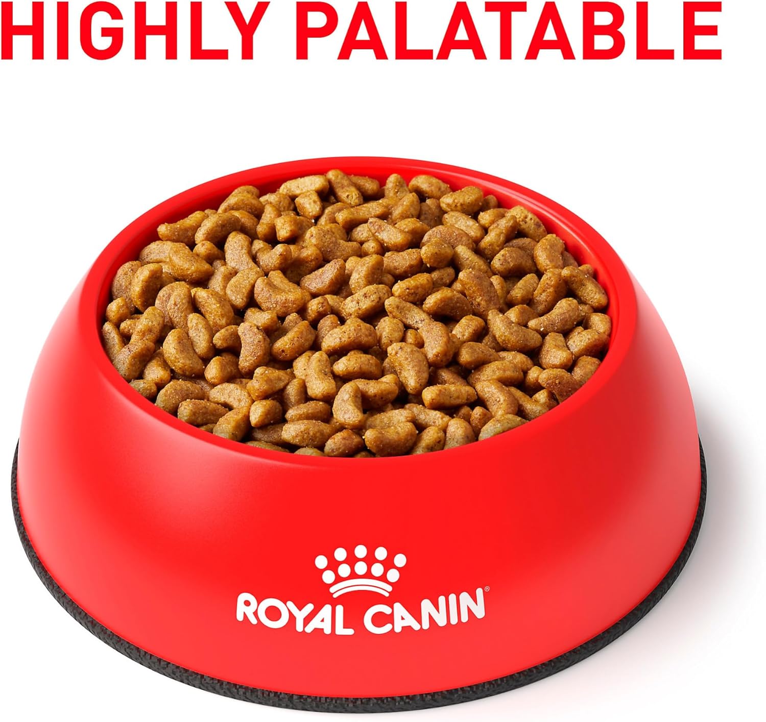 Royal Canin veterinary exclusive renal support formula back label details