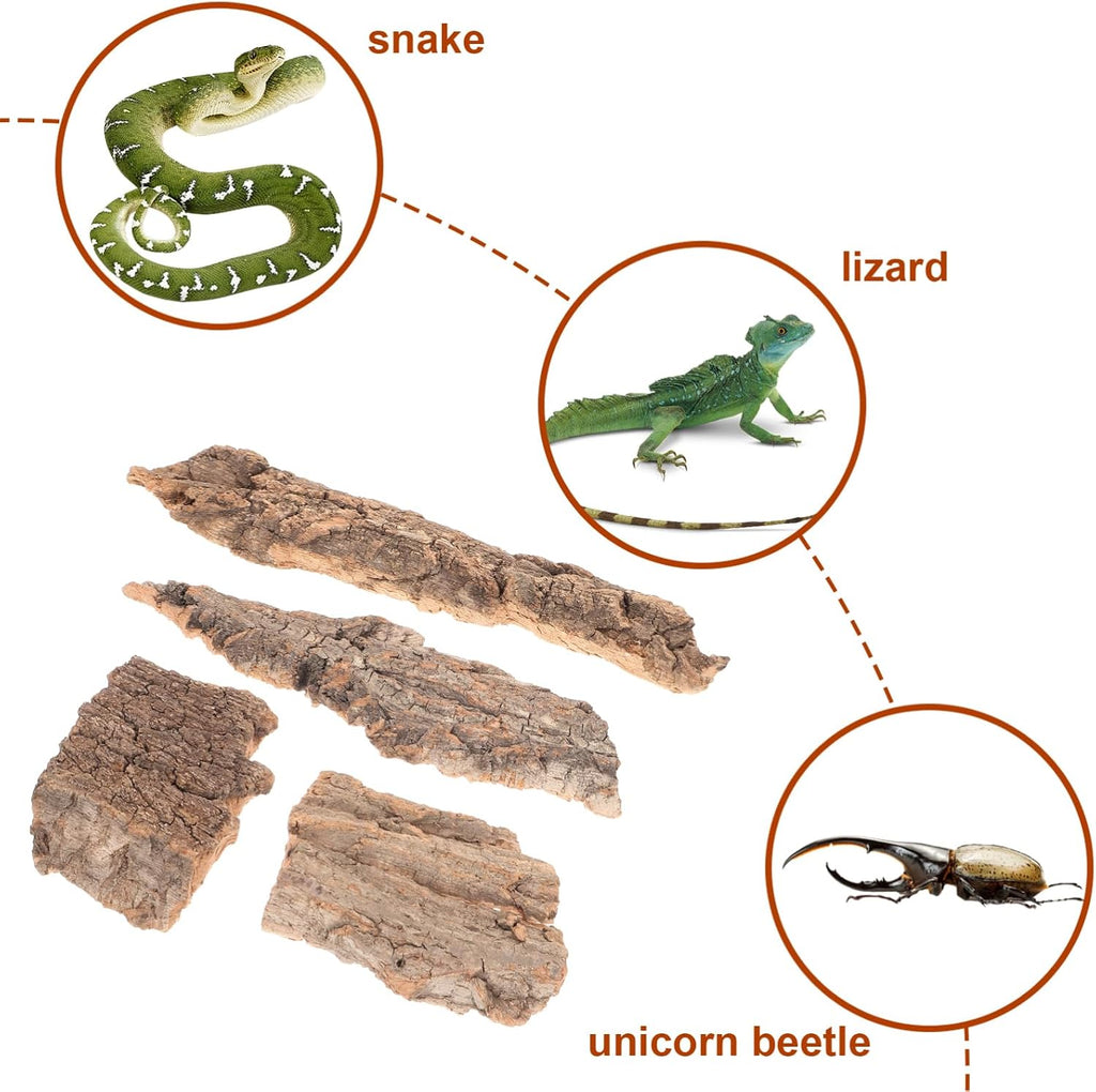 Natural wood background decoration pieces ideal for snake and tarantula enclosures.