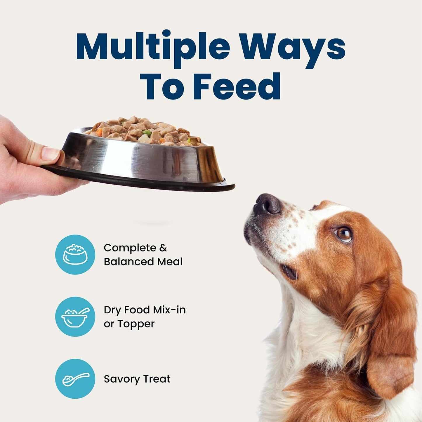 Blue Buffalo natural dog food with vitamins and minerals product angle