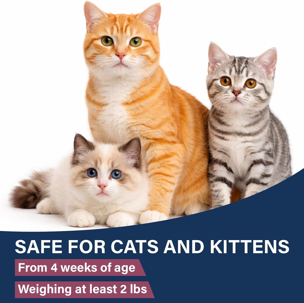 Vetacare category Capstar cat flea treatment thirty minute action pill count information