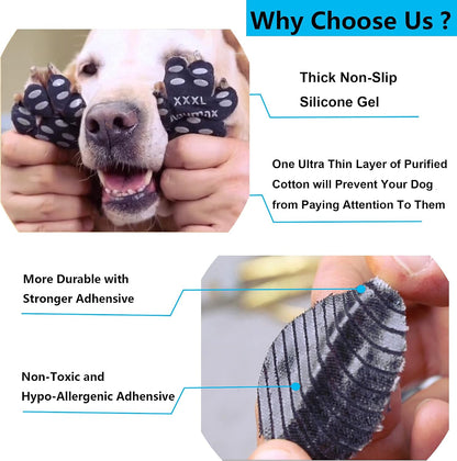 Demonstration of dog paw grip pads on dog foot