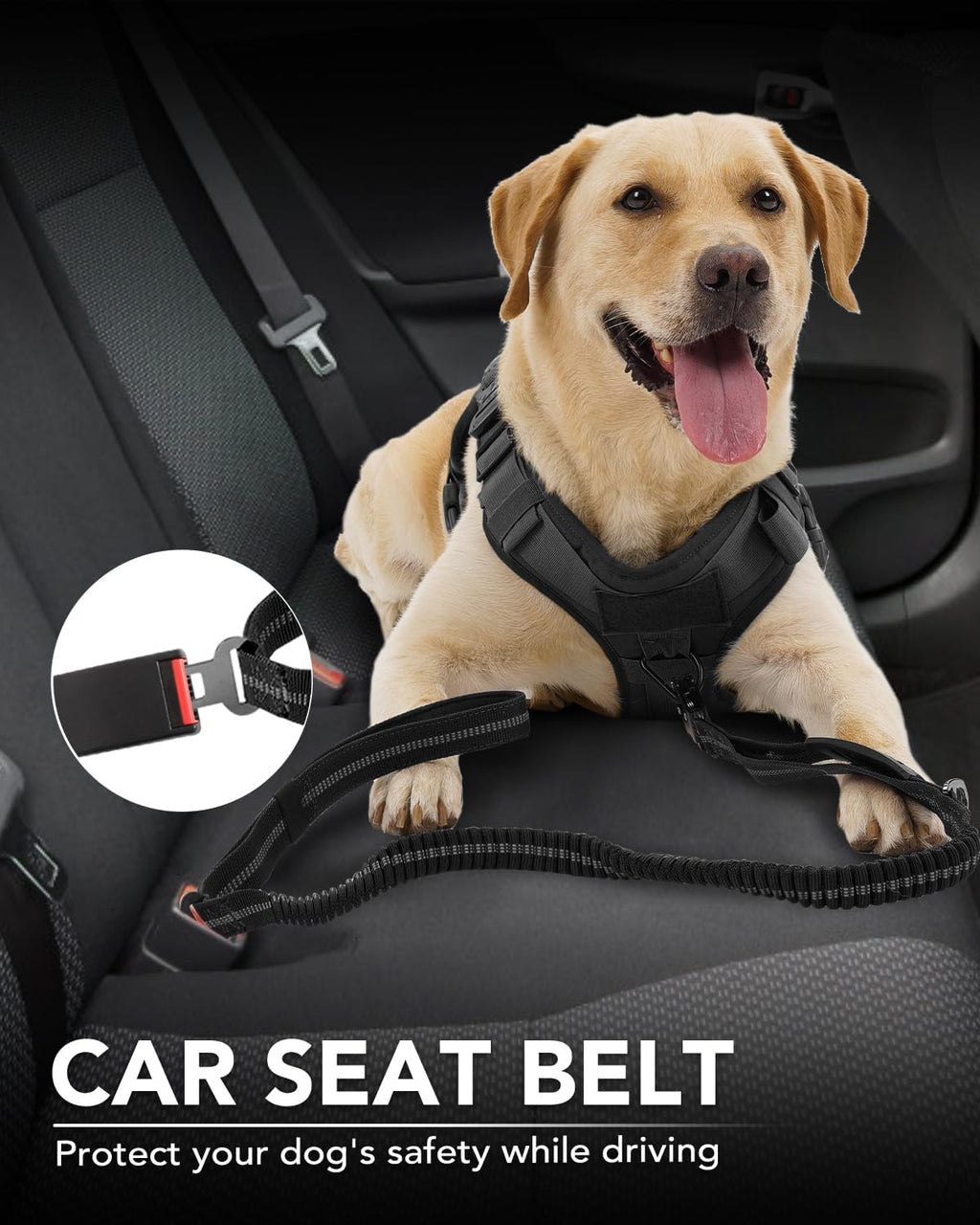 Joytale tactical bungee dog leash attached to a medium dog collar