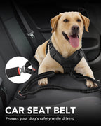 Joytale tactical bungee dog leash attached to a medium dog collar