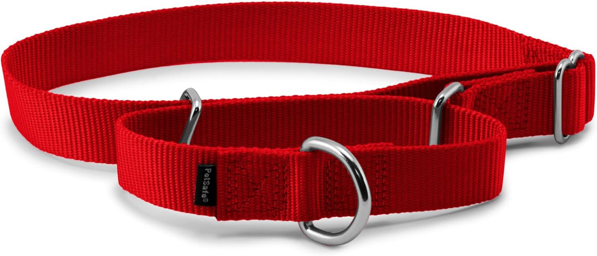 PetSafe escape prevention martingale collar with quick snap buckle