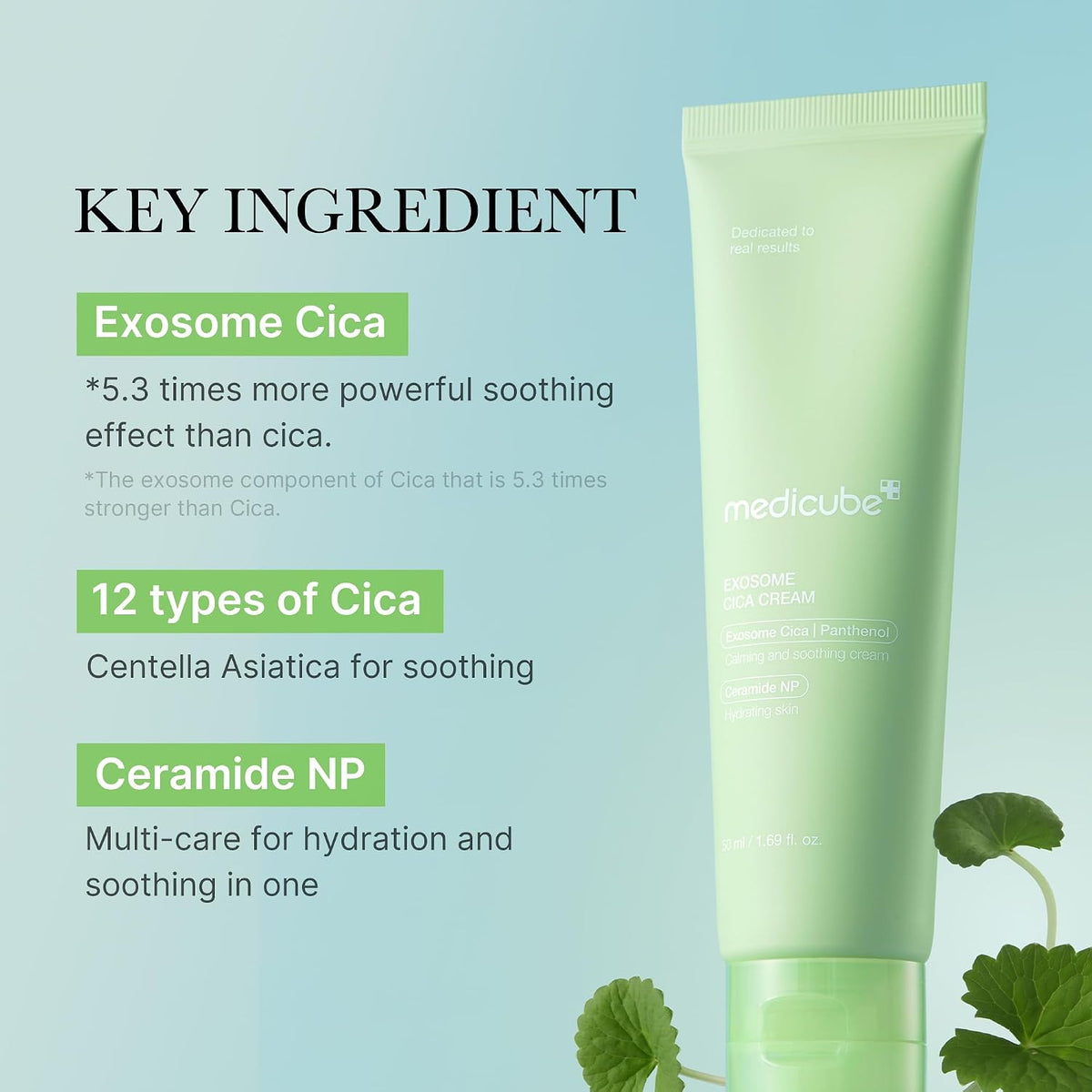 Medicube Exosome Cica Tea Tree Cream ingredient highlights