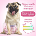 Highly absorbent core and leak proof barriers explained on Flying Paws disposable dog nappies