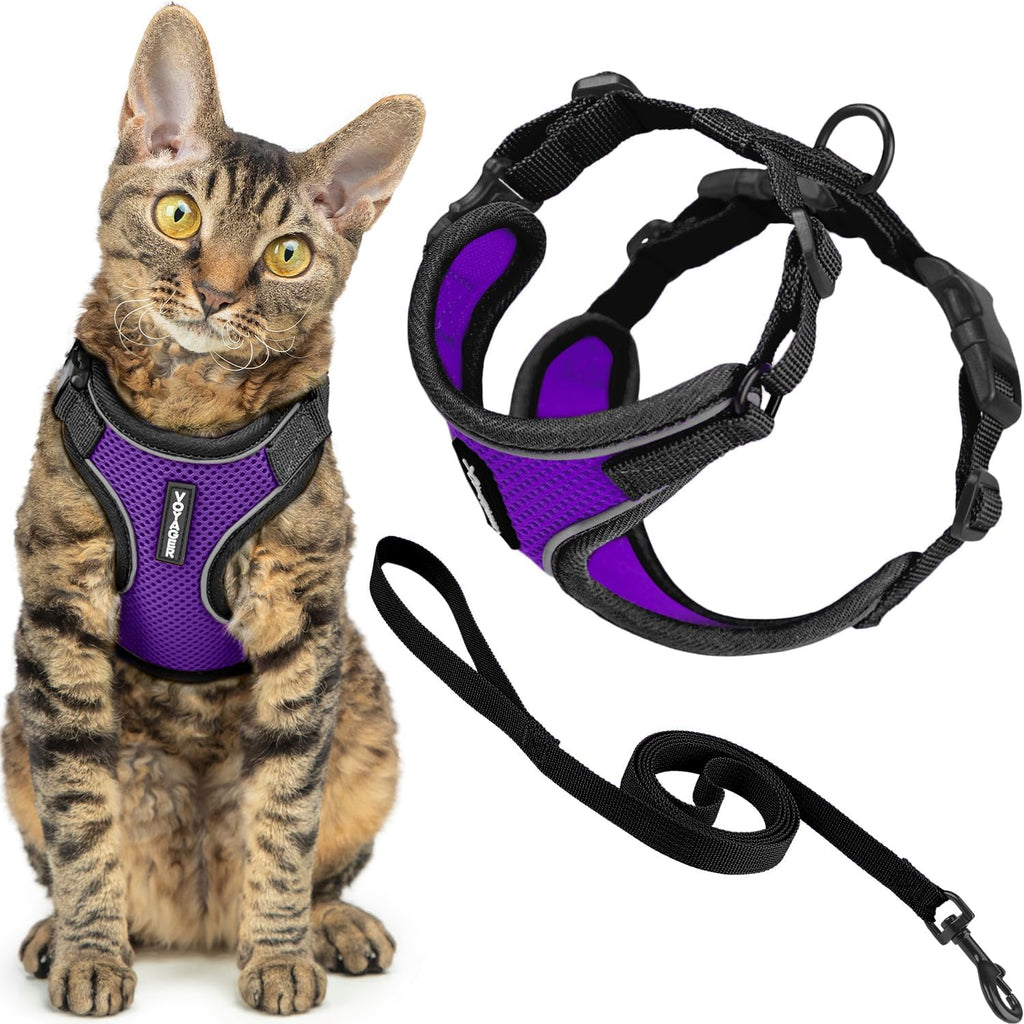 Voyager Escape-Proof Step-in Lock Cat Harness & 5ft Neoprene-Handle Leash Set All-Weather Mesh with Reflective Stitching for Small to Large Cats by Best Pet Supplies, Lime (327), XS - Image 11