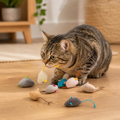 Packaging collection of the authentic imported Haourlife catnip stuffed mouse toys.