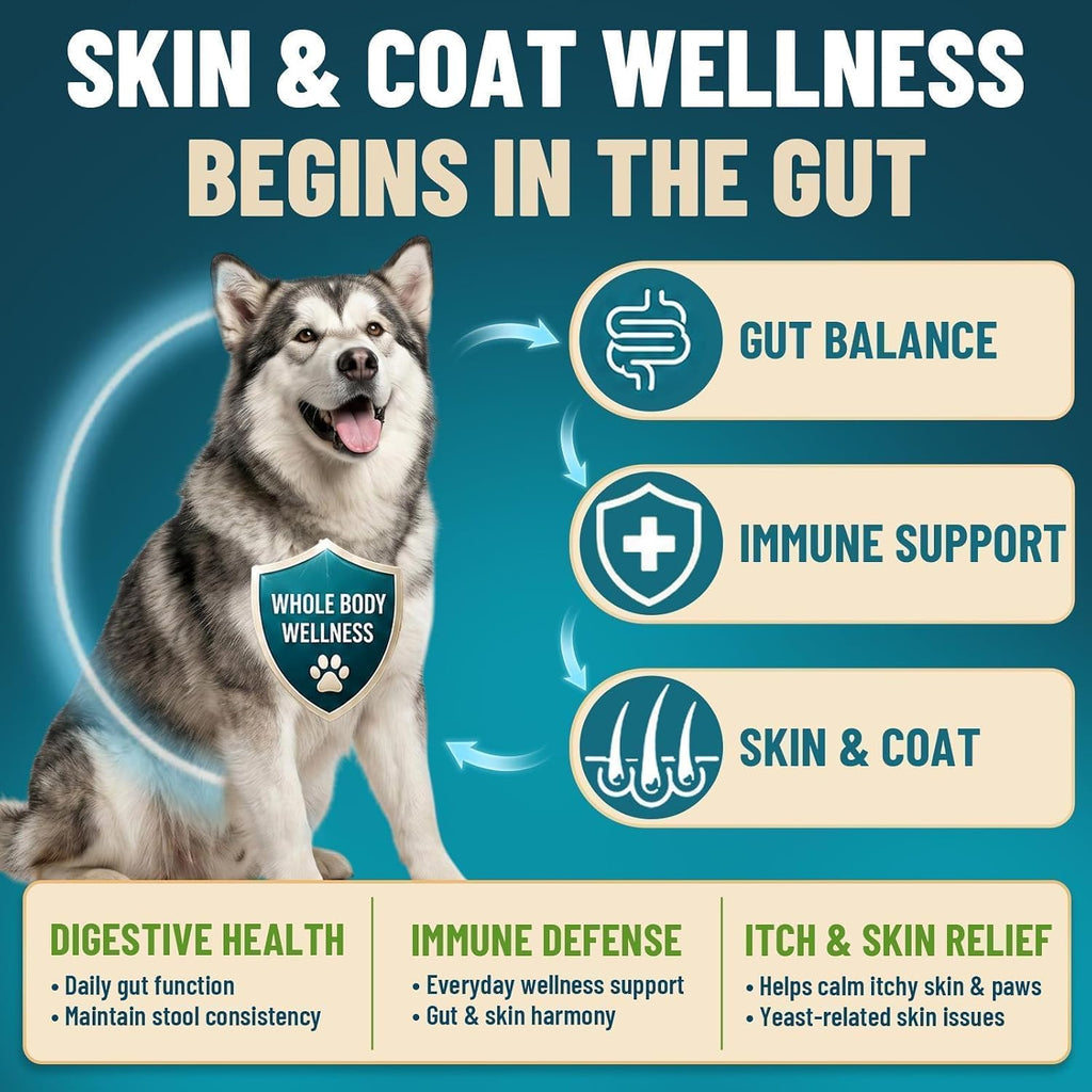 Two hundred count container of VICSOM dog probiotics for yeast and itchy skin relief