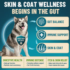 Two hundred count container of VICSOM dog probiotics for yeast and itchy skin relief