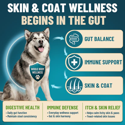 Two hundred count container of VICSOM dog probiotics for yeast and itchy skin relief