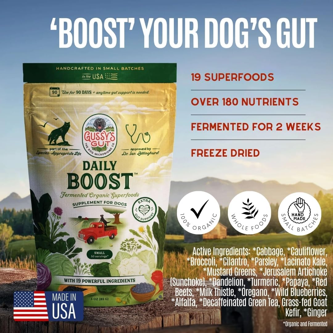 Organic pre and probiotic powder for canine digestive care by Gussys Gut.