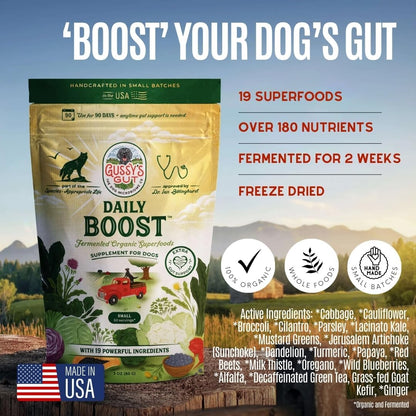 Organic pre and probiotic powder for canine digestive care by Gussys Gut.