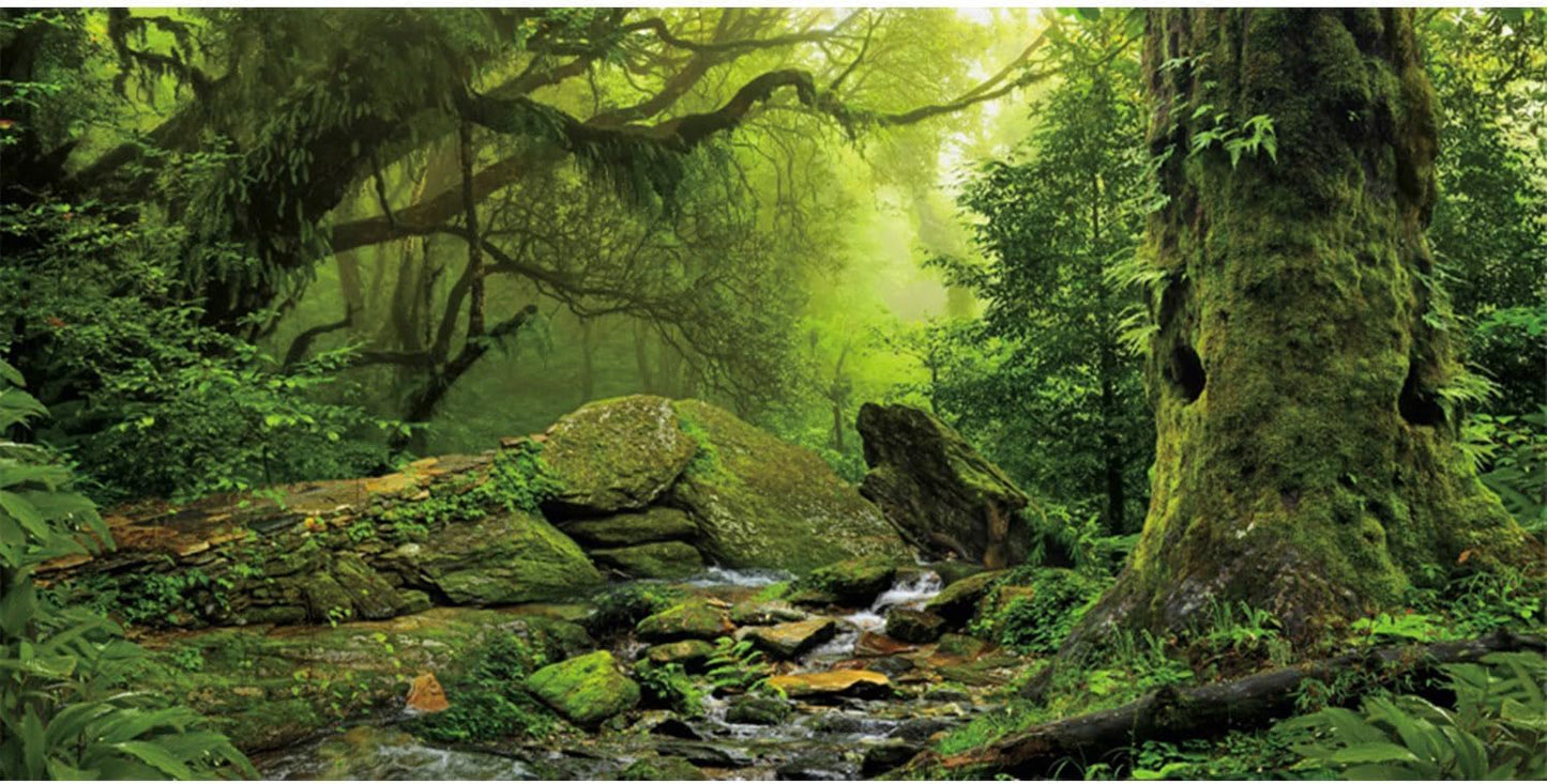 AWERT Tropical Forest Terrarium Background front view of green rainforest stream scene