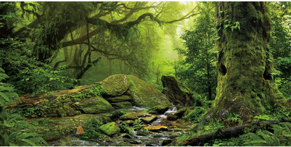 AWERT Tropical Forest Terrarium Background front view of green rainforest stream scene