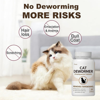 Elanco tapeworm medicine for cats and kittens six weeks and older